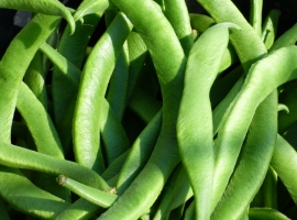 Vegetables at Ashtead Park