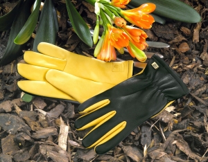 Water resistant gloves