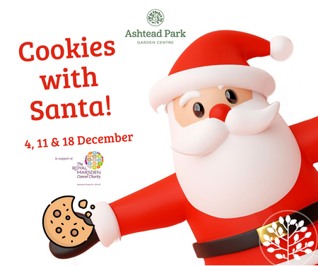 Cookies with Santa 2023